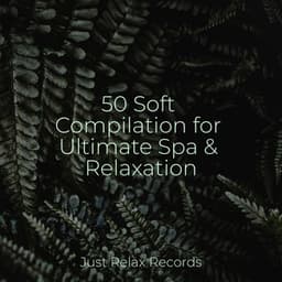 50 Soft Compilation for Ultimate Spa & Relaxation - Massage Therapy Music