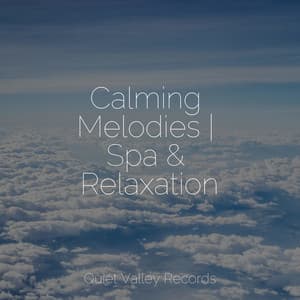 Calming Melodies | Spa & Relaxation - Relaxing Sounds Of Nature