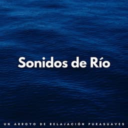 Sonidos De Río: Un Arroyo De Relajación Pura - Arroyos Ventosos