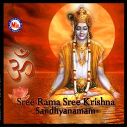 Sree Rama Sree Krishna Sandhyanamam - N R Mini