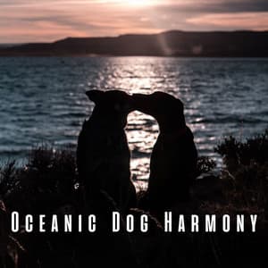 Oceanic Dog Harmony: Binaural Theta Waves for Total Bliss - 101 Nature