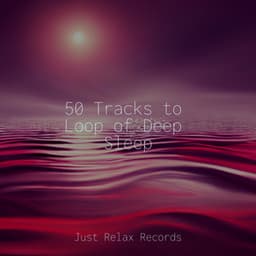 50 Tracks to Loop of Deep Sleep - Relaxing Mindfulness Meditation Relaxation Maestro
