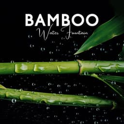 Bamboo Water Fountain: Healing Zen Music with Soothing Flowing Water Sound for Deep Relaxation, Zen Ambience for Sleep & Meditation - Patrick Keys