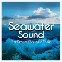 Seawater Sound - The Relaxing Sounds of Water