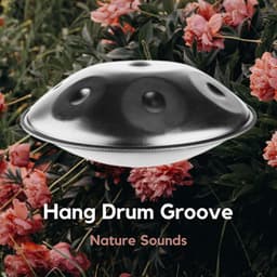 Hang Drum Groove - Relaxing Hang Drum Nature