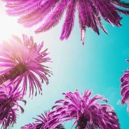 Backdrop for Study Shapes - Unique Bossa Guitar Trio - Música para Desayuno Música De Fondo