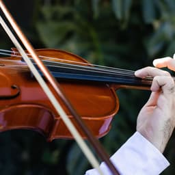 Peaceful Orchestra: Calm Classical Moods - Charles Anderson