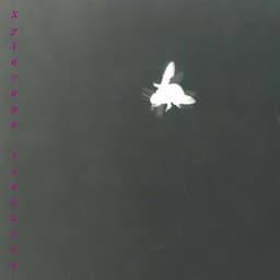 Ronchetti: Xylocopa Violacea - Lucia Ronchetti