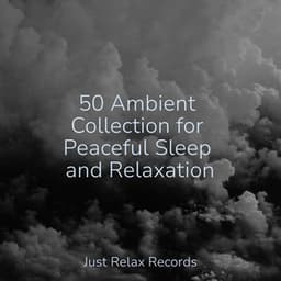 50 Ambient Collection for Peaceful Sleep and Relaxation - ASMR HD