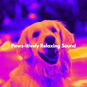 Paws-itively Relaxing Sound - Mellow Jazz Instrumental