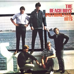 Instrumental Hits - The Beach Boys