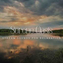 River's Serene Oasis: Stream Sounds for Relaxation - Regenmaschine