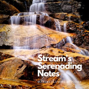 Stream's Serenading Notes: Water's Flowing Melodies - Serenity Music Academy
