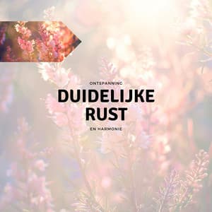 Duidelijke Rust - Ontspanning en Harmonie