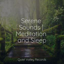 Serene Sounds | Meditation and Sleep - Binaural Creations