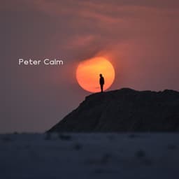 Weightless Day - Peter Calm