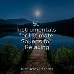50 Instrumentals for Ultimate Sounds for Relaxing - Sonidos de la Naturaleza Relajacion