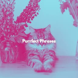Purrfect Phrases - Cat Total Relax
