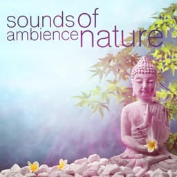 Sounds of Ambience: Nature - Ambient Nature Sounds