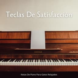 Teclas De Satisfacción: Notas De Piano Para Gatos Relajados - Piano Relajante