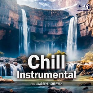 Chill Instrumental - Nadeem Shravan