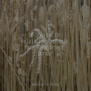 50 Sonidos De Relajación Profunda Para Relajarse Y Dormir - Música Zen Relaxante