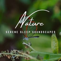Dreamy Slumbers: Serene Sleep Soundscapes - Asleep and Awake