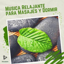 Música Relajante para Masajes y Dormir - #Calmante