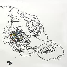 Christopher Rouse: Transfiguration - Christopher Rouse