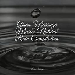 Asian Massage Music: Natural Rain Compilation - Master Meditação