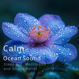 Calm Ocean Sounds - Sleep Aid, Meditation, and Stress Relief - Ocean Waves for Deep Sleep
