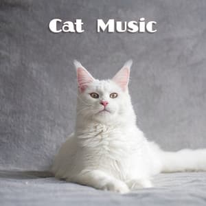 Cat Music - Cat Music