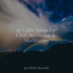 50 Light Songs for Chill Ambience & Meditation - Drowsy Cloud