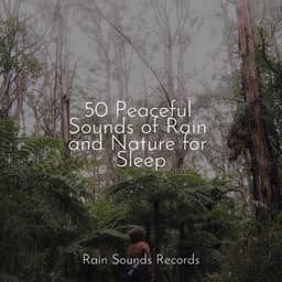 50 Peaceful Sounds of Rain and Nature for Sleep - Rest & Relax Nature Sounds Artists