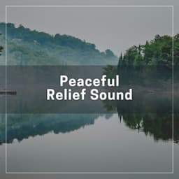 Peaceful Relief Sound - Solitude Beats