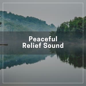 Peaceful Relief Sound - Solitude Beats