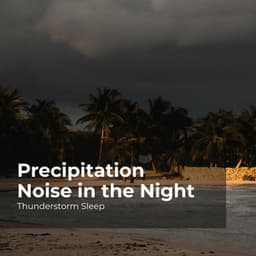 Precipitation Noise in the Night - Thunderstorm Sleep