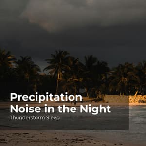 Precipitation Noise in the Night - Thunderstorm Sleep