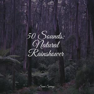 50 Sounds: Natural Rainshower - Study Zone