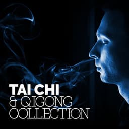 Tai Chi & Qigong Collection - Tai Chi And Qigong