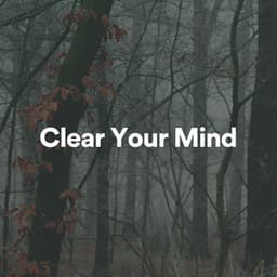 Clear Your Mind - Lullabies for Deep Meditation