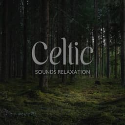 Celtic Sounds Relaxation - Serenity Music Zone
