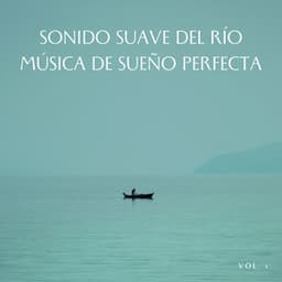 Sonido Suave Del Río Música De Sueño Perfecta, Vol. 1 - Efectos de agua