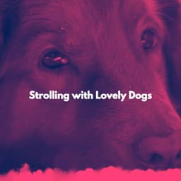 Strolling with Lovely Dogs - Calming Music for Dogs