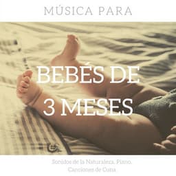 Música para Bebés de 3 Meses: Sonidos de la Naturaleza, Piano, Canciones de Cuna - Musica para Bebes Especialistas
