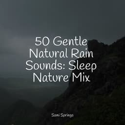 50 Gentle Natural Rain Sounds: Sleep Nature Mix - Reiki Tribe