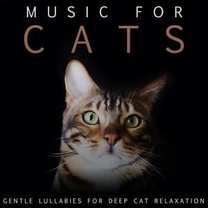 Music For Cats: Gentle Lullabies For Deep Cat Relaxation - Cat Music