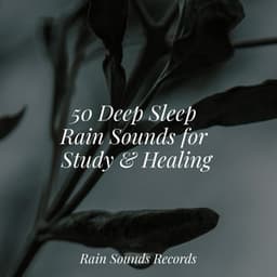 50 Deep Sleep Rain Sounds for Study & Healing - Brain Study Music Guys