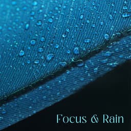 Focus & Rain: Music to Help You Study for Exams - Zen Exam Experts