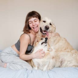 Inspired Bgm for Instrumental Dog Hours - Dog Music Hour